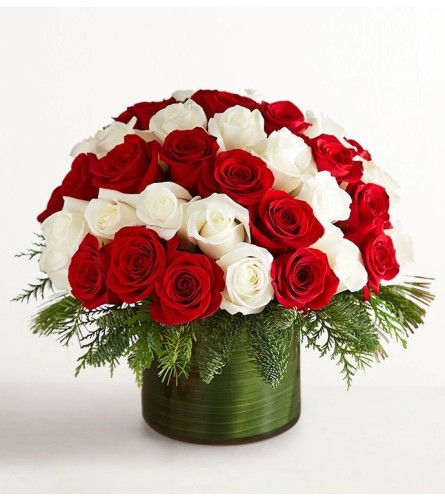 Red and White Christmas Roses - Deluxe. An arrangement by Brickell Glamour Flowers.