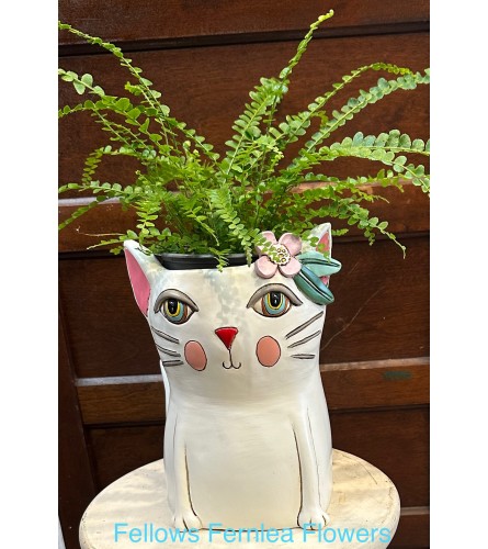 Whiskers' Green Haven. An arrangement by Fellows Fernlea Flowers.