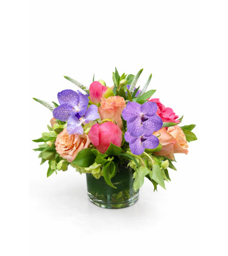 Blushing Orchid Garden - Deluxe. An arrangement by Garden Florist.