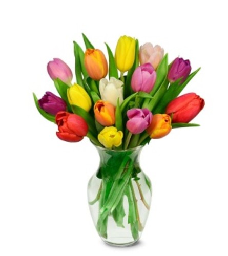 Color Me Tulips. An arrangement by Florist of the Northwoods.