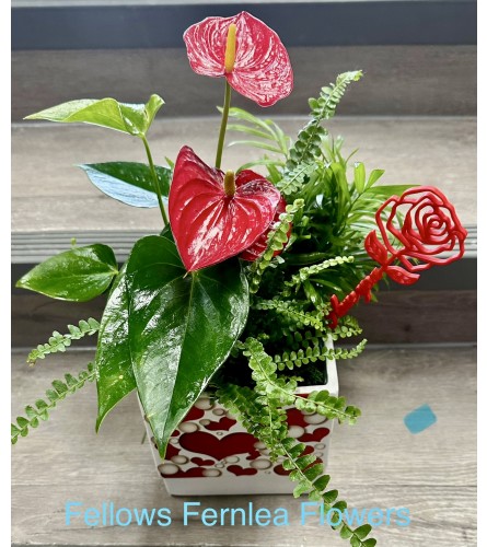 I Love You Planter by Fellows. An arrangement by Fellows Fernlea Flowers.