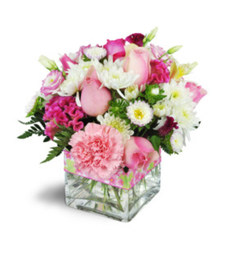 Pink Sweetness Squared Arrangement - Standard. An arrangement by Nicol Florist.