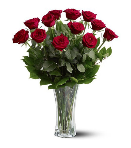 A Dozen Long Stem Roses - Standard. An arrangement by Palmetto Gardens Florist.