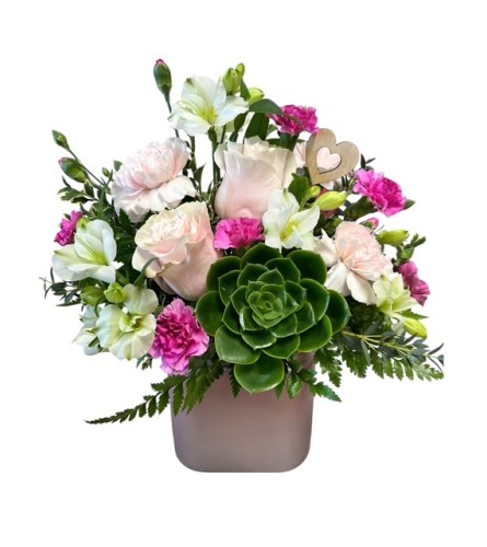 Sweetheart Succulent Charm. An arrangement by My Secret Garden.