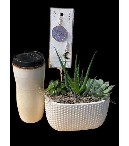 The Perfect Desk Companion Planter - Standard. An arrangement by Loyalist Flowers.