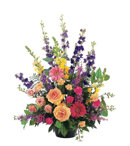 tf Most Memorable Tribute - Deluxe. An arrangement by Nicol Florist.