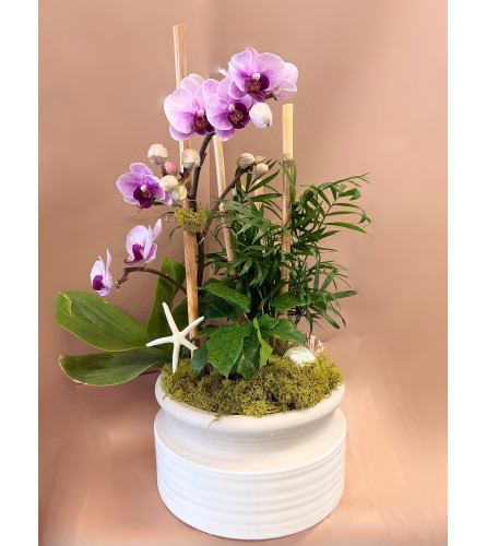 Saltwater Bloom. An arrangement by Shell Beach Floral Design.