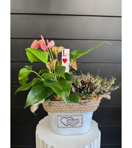 Growing Love Planter. An arrangement by Marianna's Flower Island.