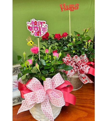 Garden of Love - Deluxe. An arrangement by Sunny Day Blossoms Design Studio.