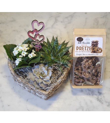 By Design Succulent and Sweets Duo. An arrangement by Flowers By Design.