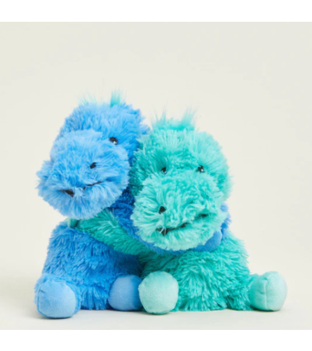 Dinosaur Hug Warmies. An arrangement by Love Floral.