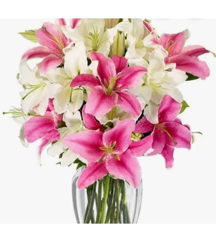 Lillies for you - Deluxe. An arrangement by Abundant Flowers and Gift Shoppe.