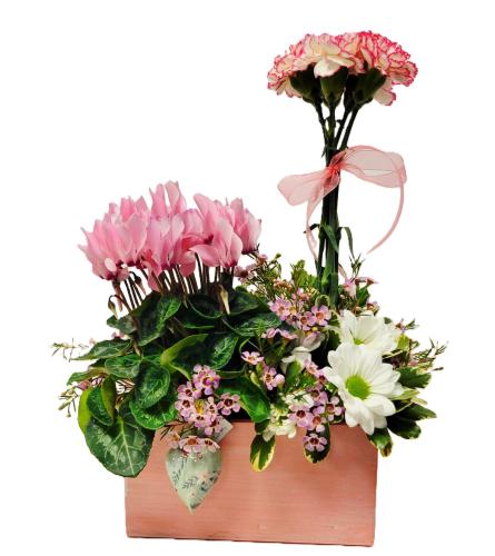 Fun and Flirty. An arrangement by Brown Floral and Fudge.