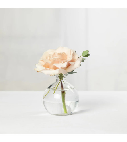 SINGLE ROSE IN LOW VASE. An arrangement by Flowers by Priscilla.