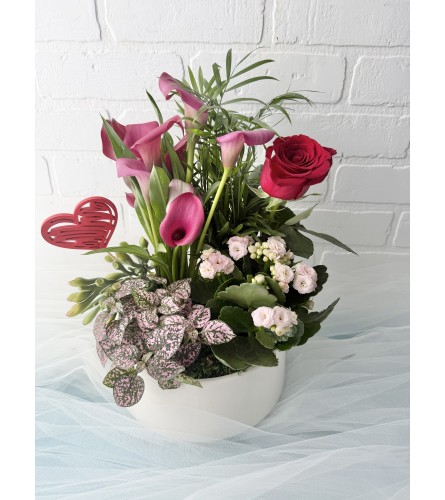 Love this Tropical Planter! - Standard. An arrangement by Brooklin Floral and Garden Shoppe Inc..