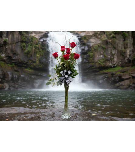 Reach For The Sky Roses. An arrangement by Flower Snobs at Cityview.