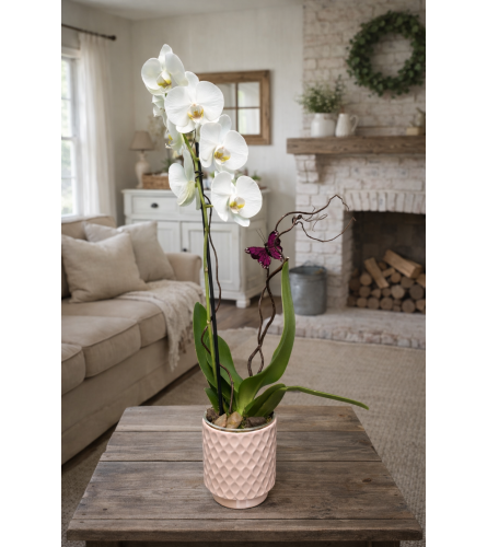 Flutter and Bloom Orchid. An arrangement by Petals and Co..