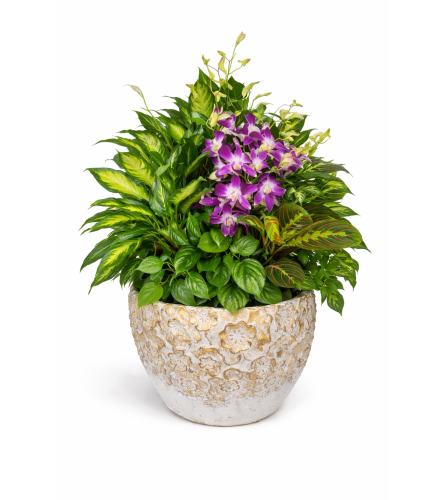 Peace and Purple Harmony. An arrangement by Floral With a Twist.