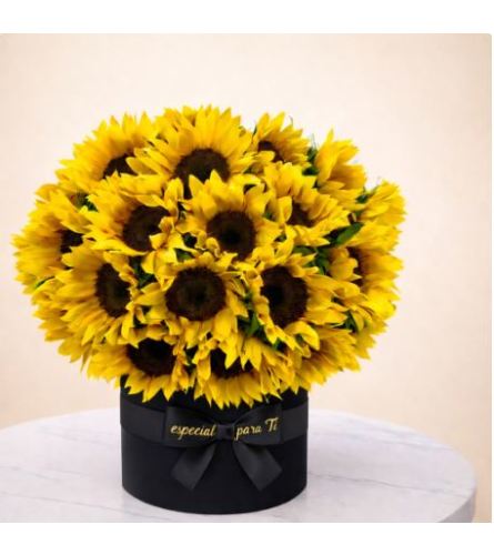 Sunshine in a Box - Deluxe. An arrangement by Geni's Florist and Gifts.