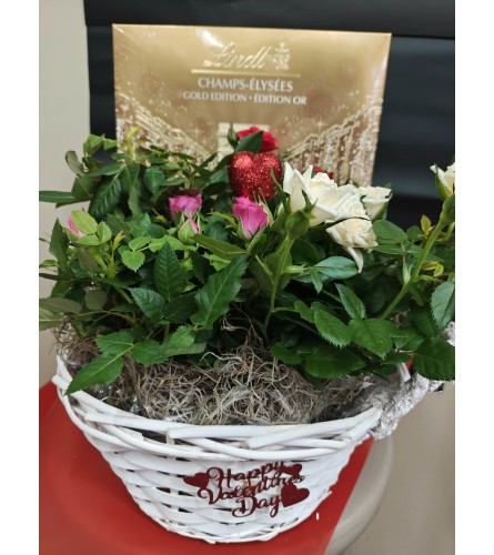 VALENTINES ROSE GARDEN WITH CHOCOLATES. An arrangement by KW Flowers.