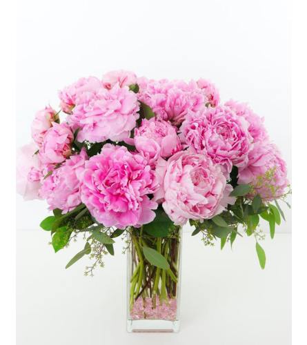 Timeless Peony - Deluxe. An arrangement by Aventura Glamour Flowers.
