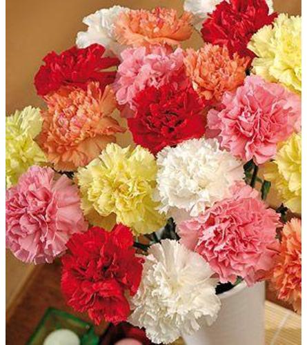 Dozen Assorted Carnations in Vase. An arrangement by Owen Sound Flowers.