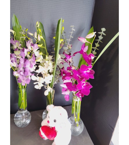 Orchid Trio - Deluxe. An arrangement by Pandora's Posies.