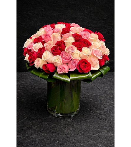 TriColor Rose Passion - Deluxe. An arrangement by Brickell Exclusive Blooms.