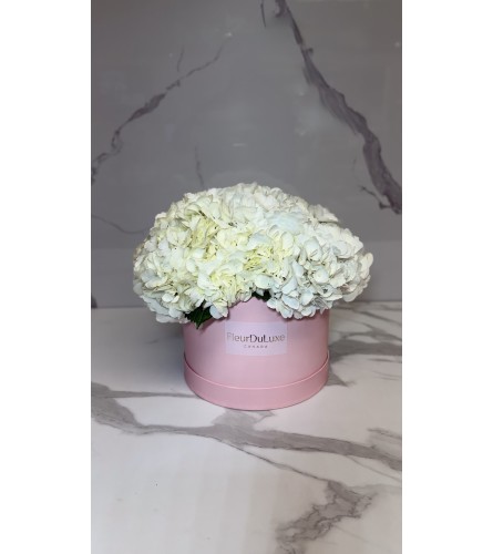 White Hydrangea Box. An arrangement by Grower's Flower Market and Gifts.