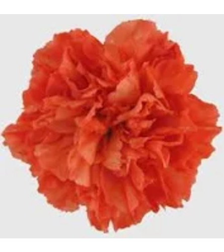 Valentine's Day Candy Basket (With 10 Sitting Bear w/ HVD Heart). An arrangement by Petals and Co..