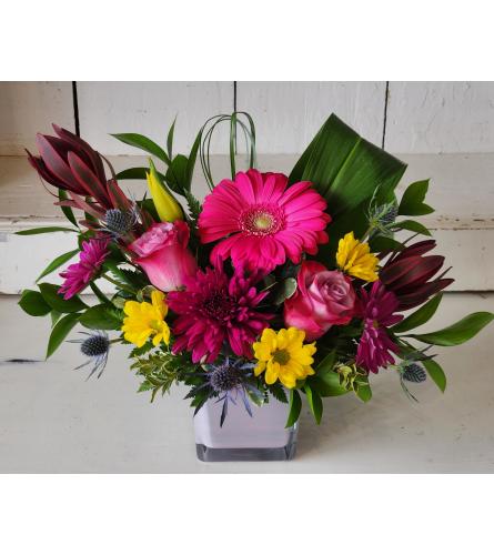 Springtime Joy - Deluxe. An arrangement by Avenue Florist.
