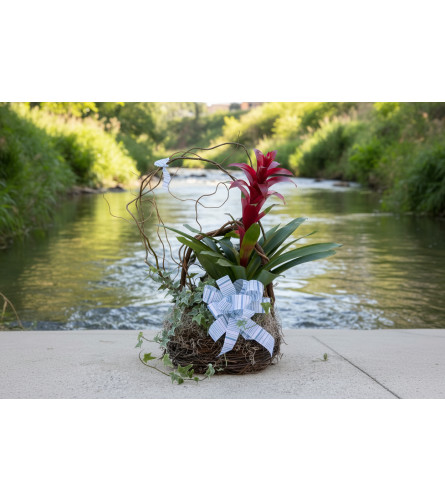 Nesting Memories Basket - Deluxe. An arrangement by Flower Snobs at Cityview.