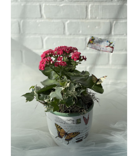 Cheerful Flowering Planter. An arrangement by Brooklin Floral and Garden Shoppe Inc..