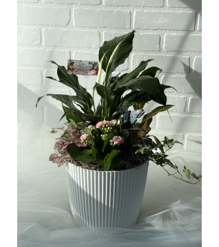 White Potted Tropical Plant. An arrangement by Brooklin Floral and Garden Shoppe Inc..