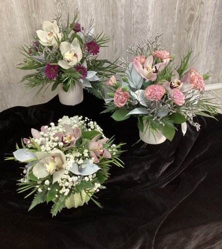 Orchid Design Assorted. An arrangement by Roma Flowers and Gifts.