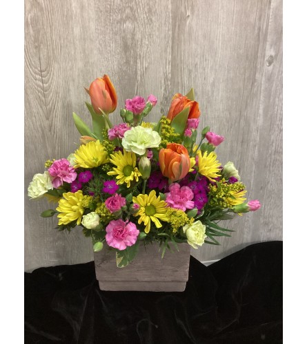 Assorted Spring Designs. An arrangement by Roma Flowers and Gifts.