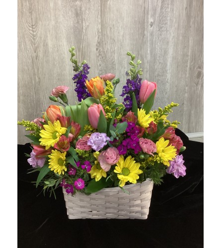 Spring Basket Designs Assorted. An arrangement by Roma Flowers and Gifts.