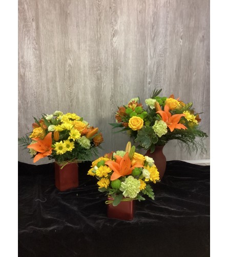 Spring in Your Step Assorted Design. An arrangement by Roma Flowers and Gifts.