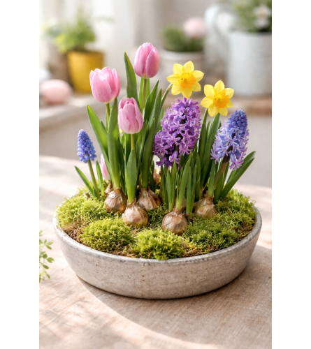 Watch Me Grow. An arrangement by Donato's Floral.