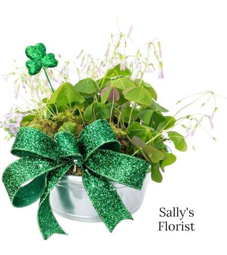 Sally's Lucky Emerald Shamrock. An arrangement by Triple A Florist - Burnaby.
