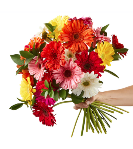 Gerbera Bouquet. An arrangement by Shalimar Flower Shop.