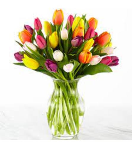 Timeless Terrific Tulips - Deluxe. An arrangement by Flower Buds Florist PEI.