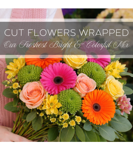 Cut Flowers Wrapped Our Freshest Bright and Colorful Mix. An arrangement by The Greenhouse Florist.