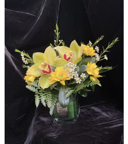 Sister Orchid Arrangement. An arrangement by Roma Flowers and Gifts.