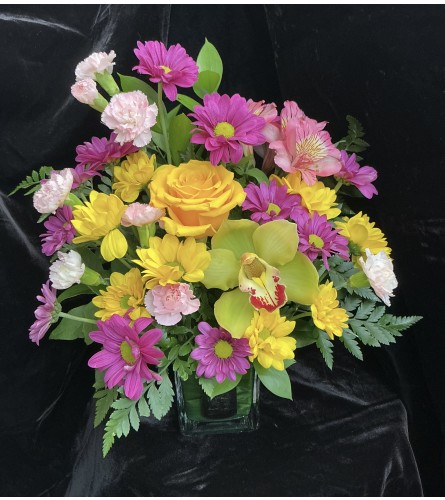 Faith, Hope, Love Orchid Arrangement. An arrangement by Roma Flowers and Gifts.