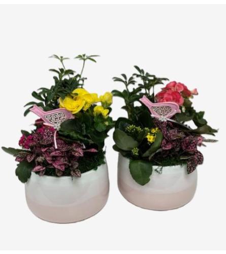 Aurora Garden Planter. An arrangement by Owen Sound Flowers.