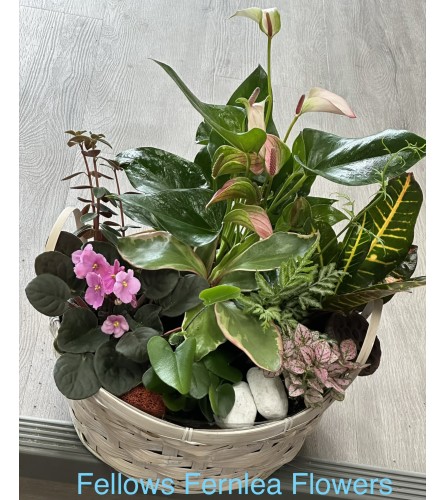 The Gardenkeeper's Basket by Fellows. An arrangement by Fellows Fernlea Flowers.