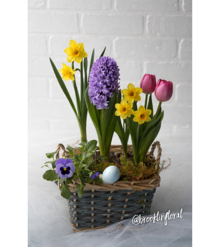 Mixed Spring Bulb Garden. An arrangement by Brooklin Floral and Garden Shoppe Inc..