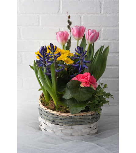 Spring Bulb Garden Basket. An arrangement by Brooklin Floral and Garden Shoppe Inc..