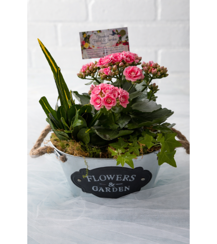 Little Garden of Joy. An arrangement by Brooklin Floral and Garden Shoppe Inc..